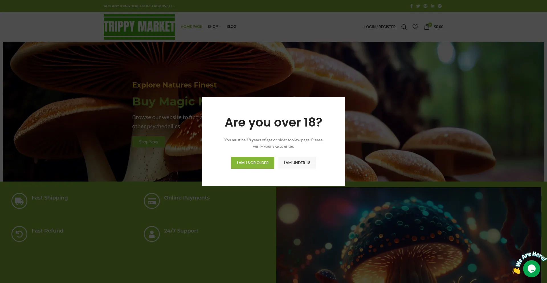 Website screenshot of Trippymarket.com