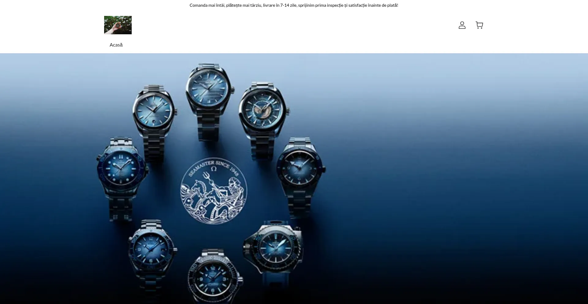 Website screenshot of Truefes.shop