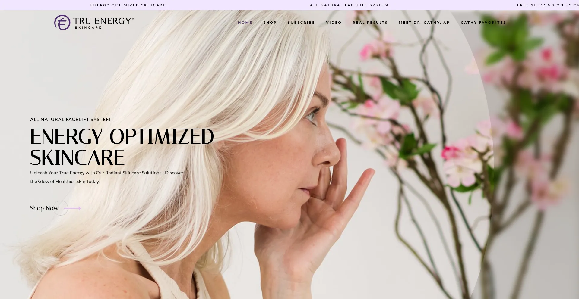 Website screenshot of Truenergyskincare.com