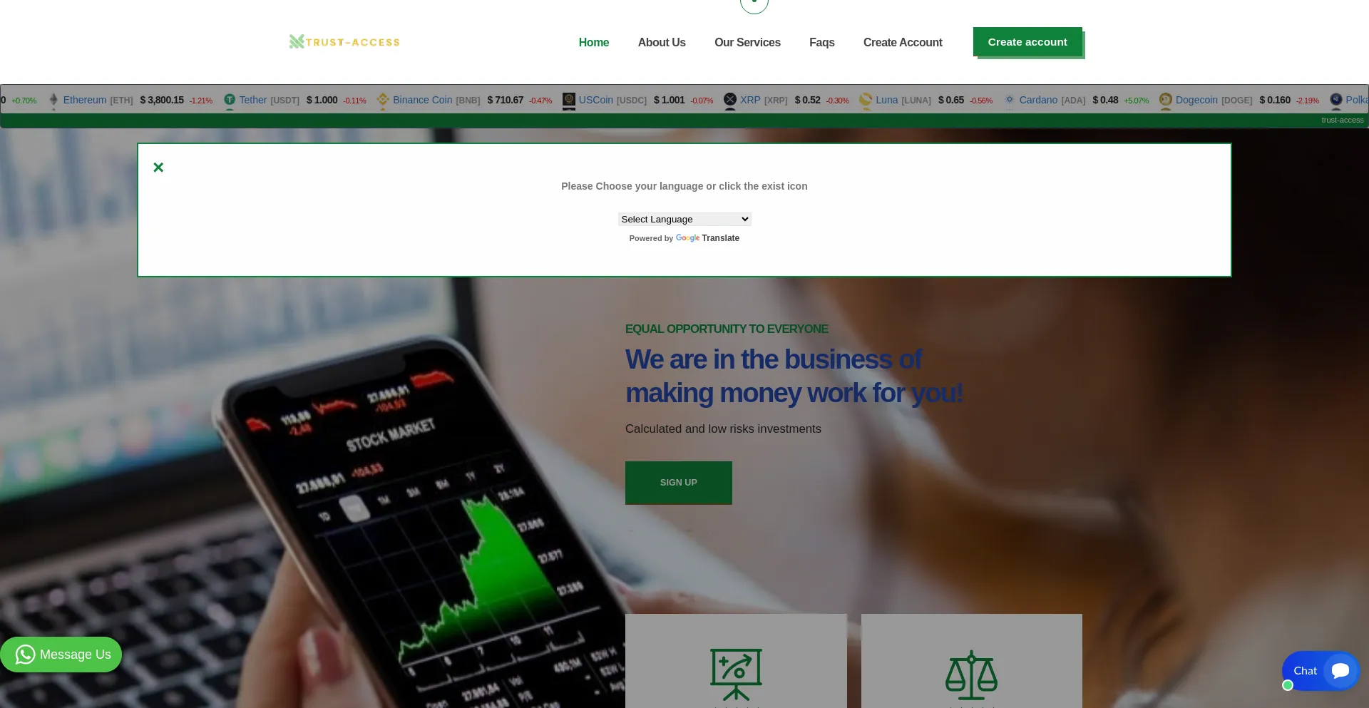Website screenshot of Trust-access.net
