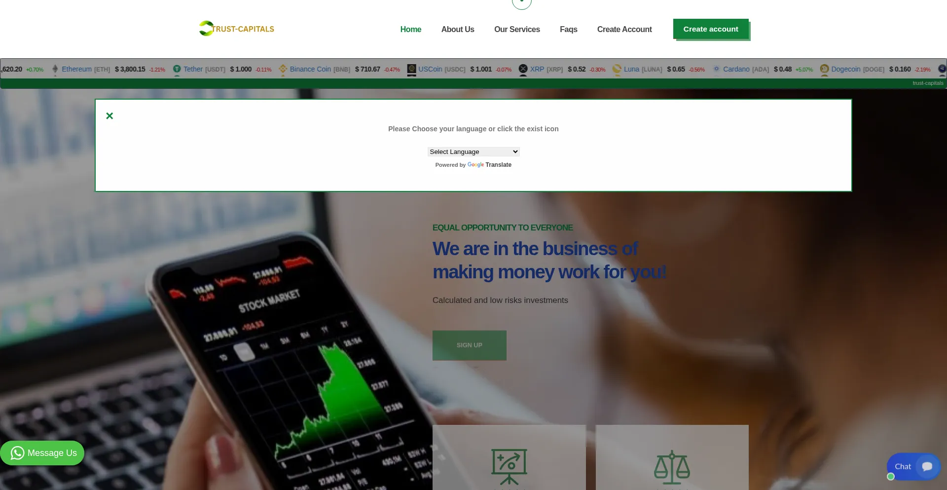 Website screenshot of Trust-capitals.org