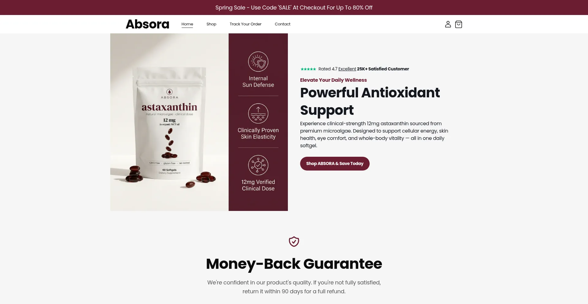 Tryabsora.com