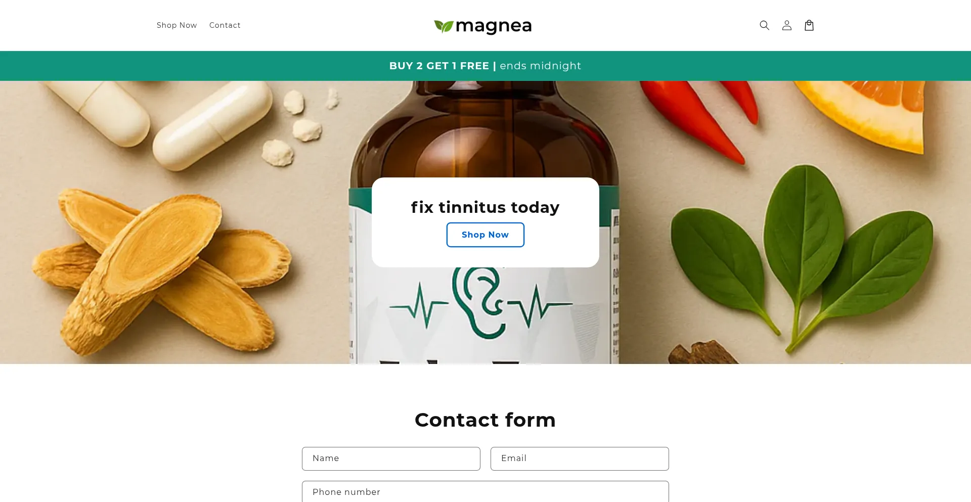 Website screenshot of Trymagnea.com