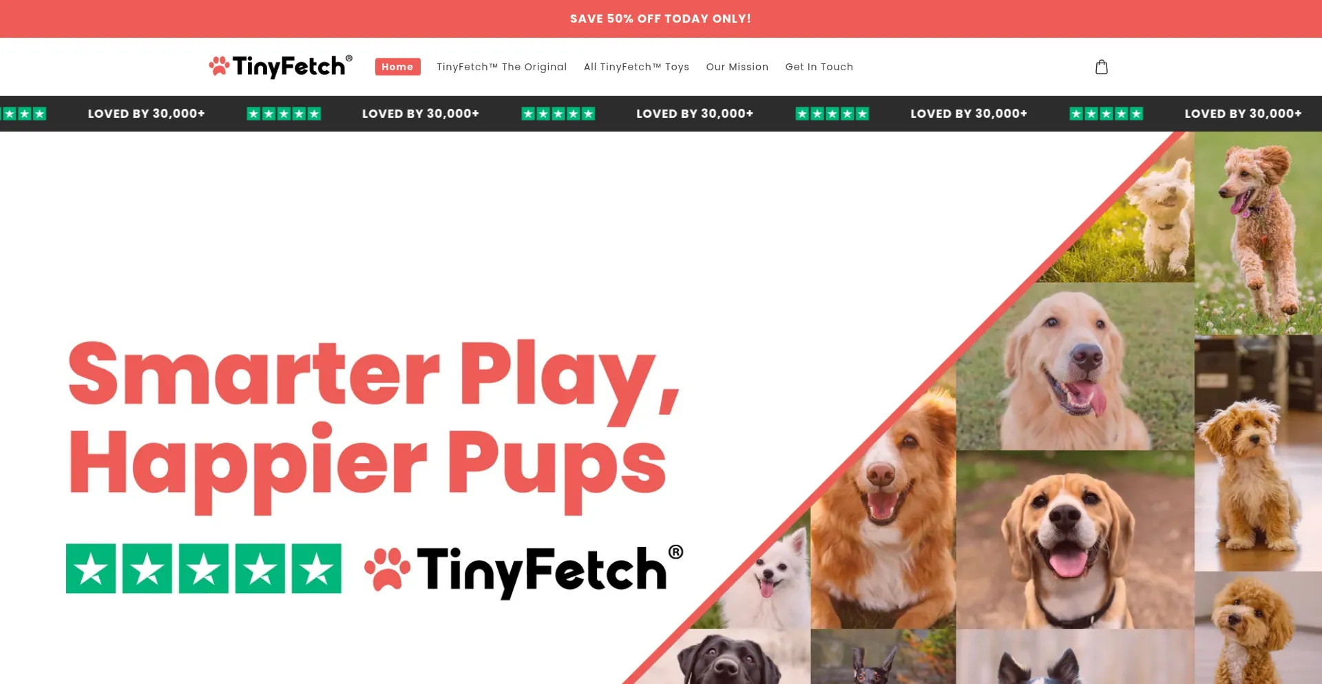 Website screenshot of Trytinyfetch.com