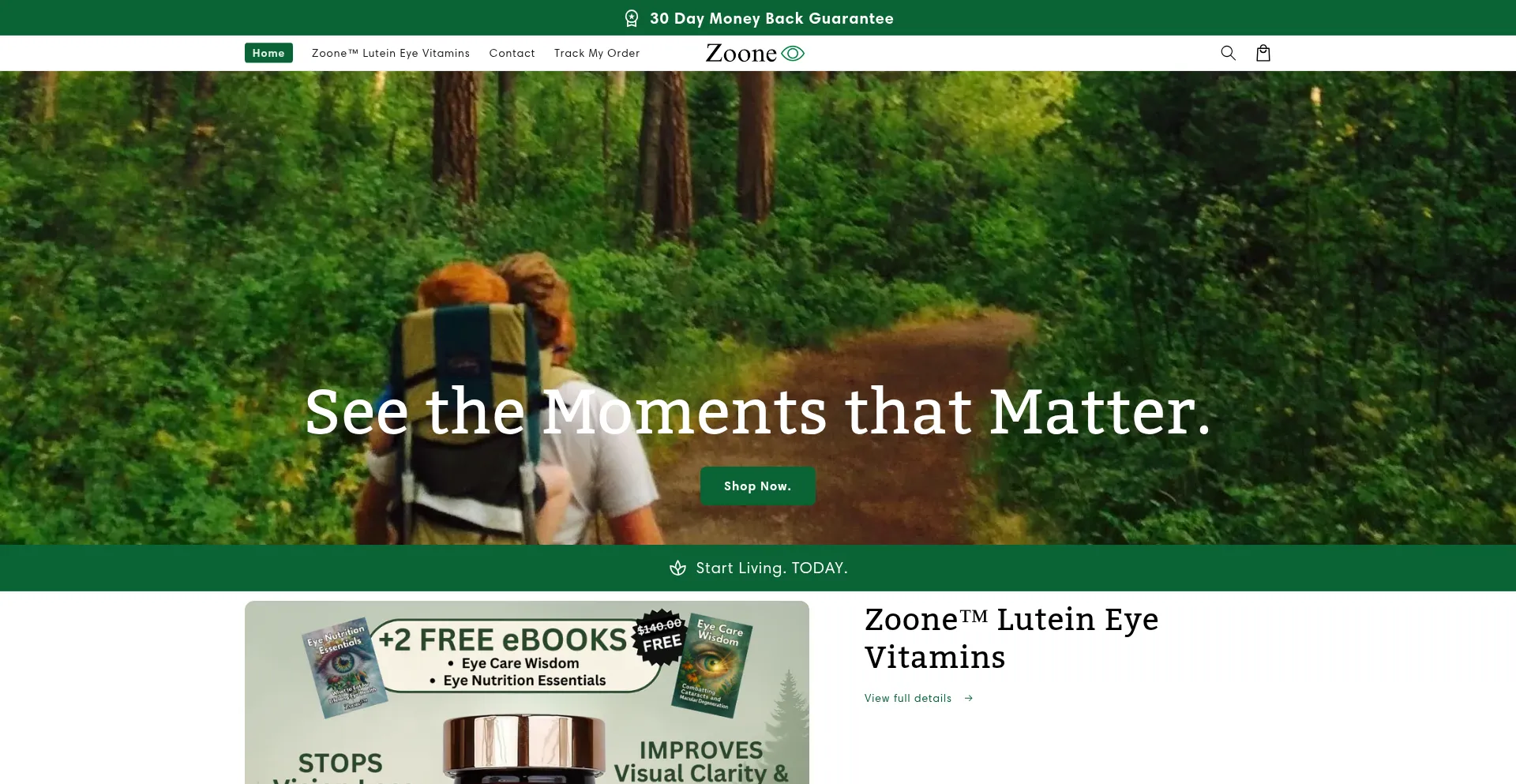 Website screenshot of Tryzoone.com