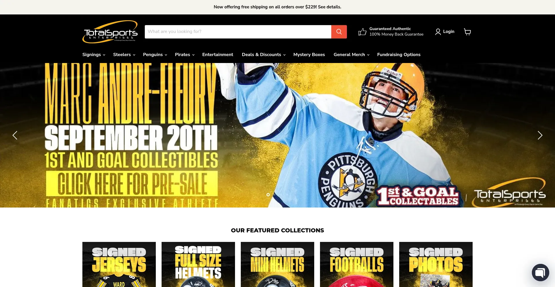 Website screenshot of Tseshop.com