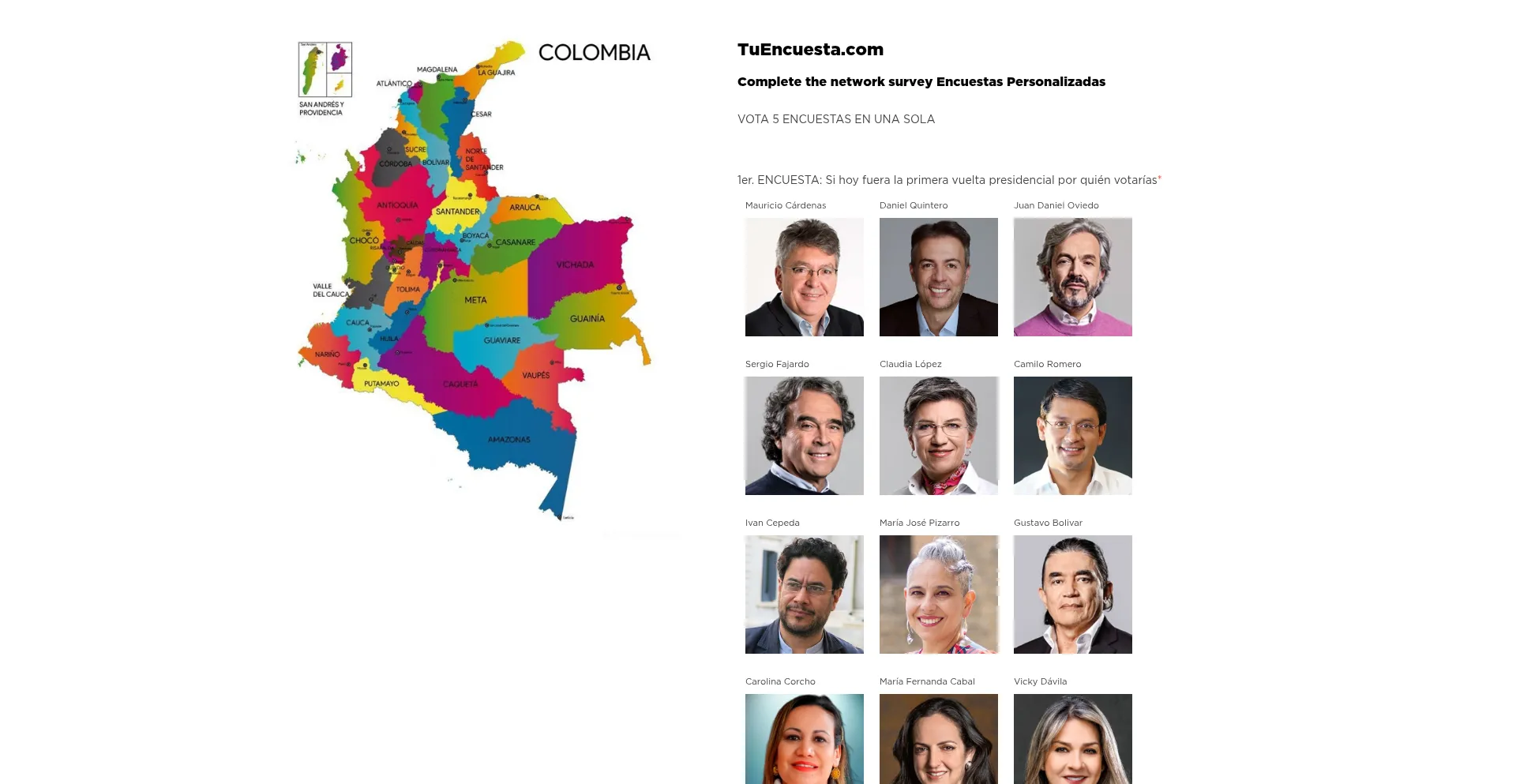 Website screenshot of Tuencuesta.com