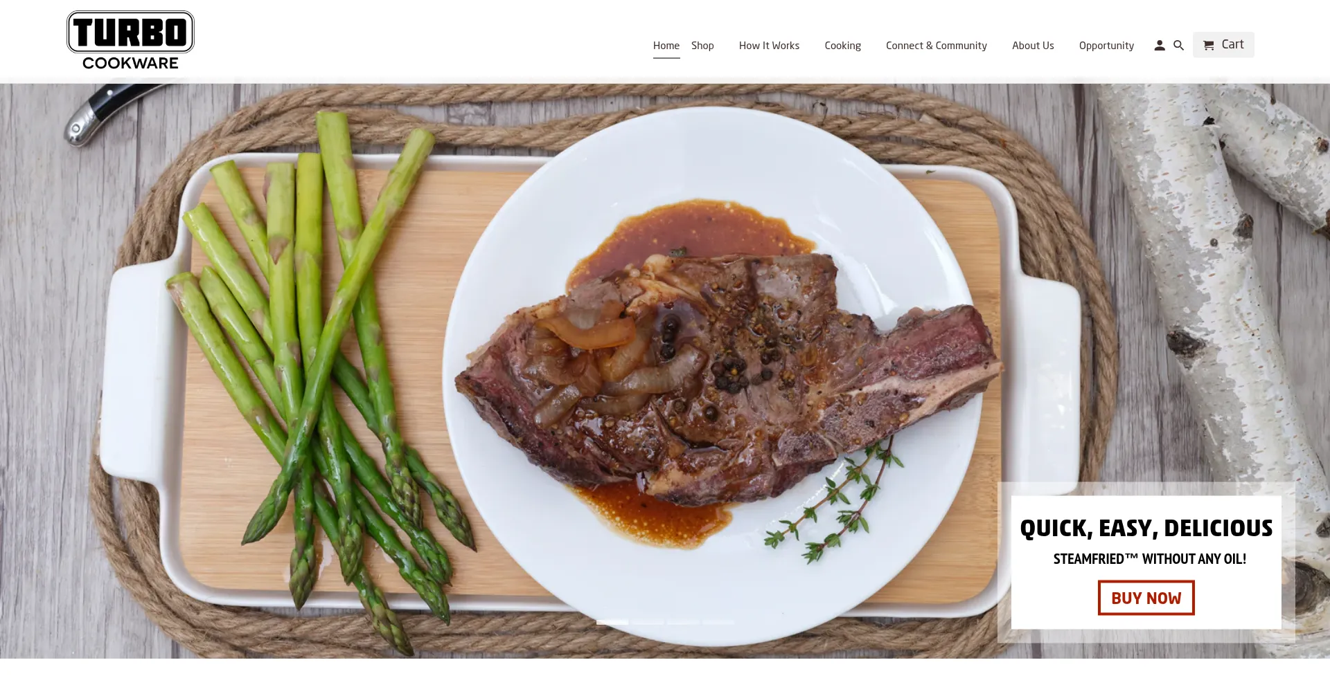 Website screenshot of Turbocooker.com