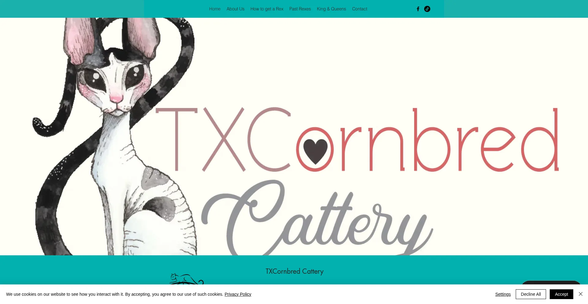 Website screenshot of Txcornbred.com