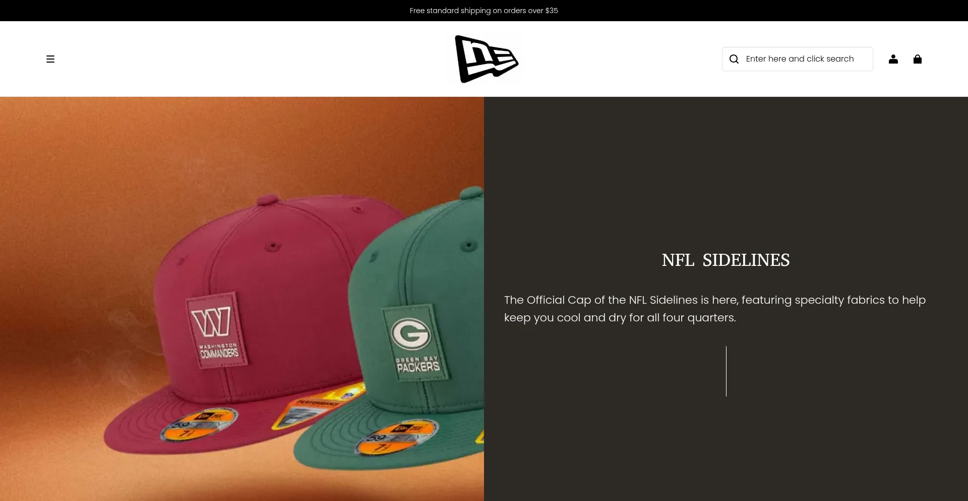 Website screenshot of Tyesha.shop
