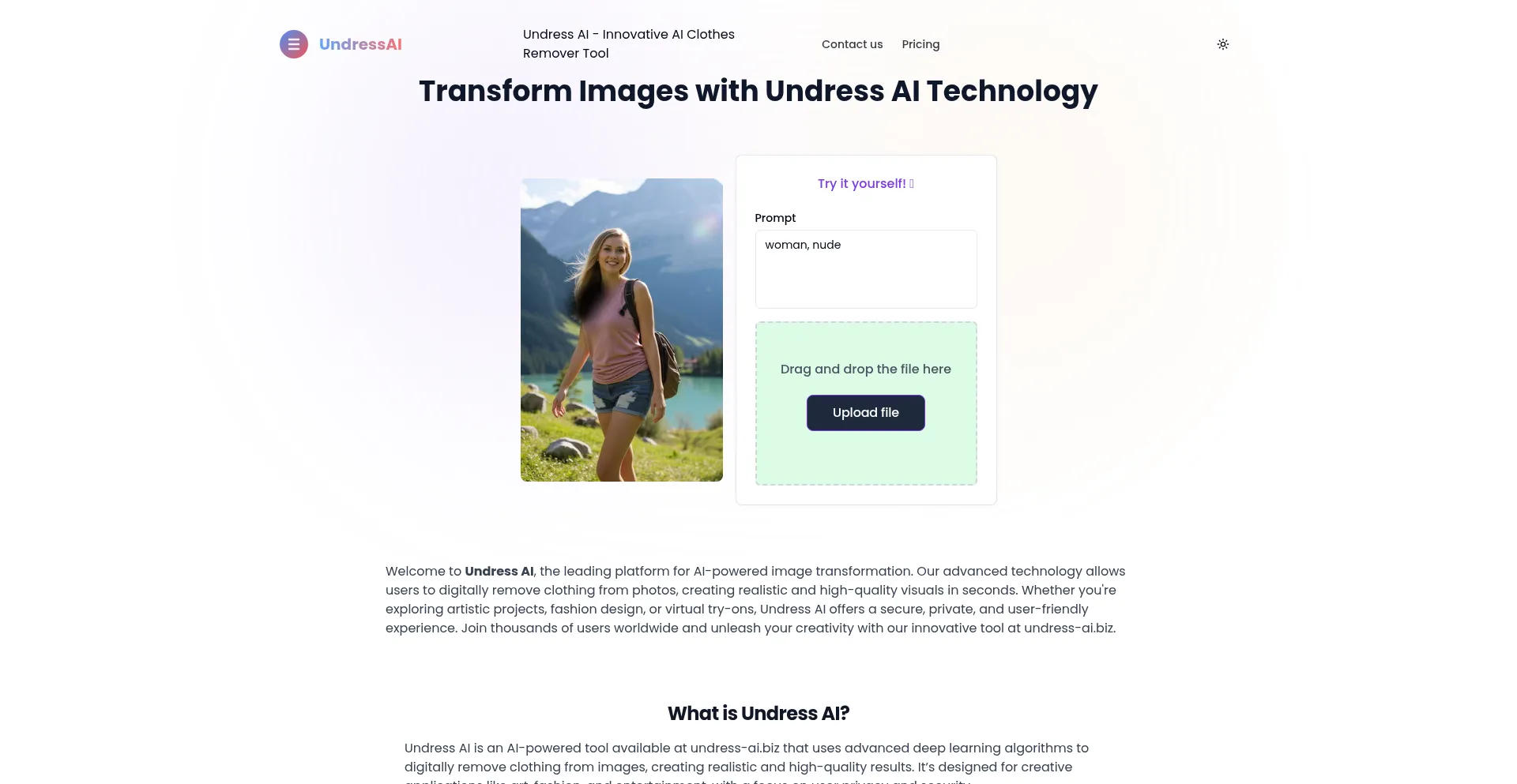 Undress-ai.biz 安全可靠吗？