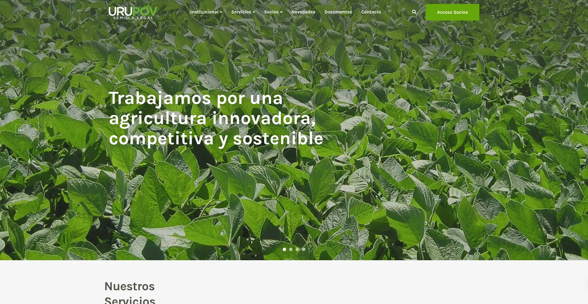 Urupov.org.uy
