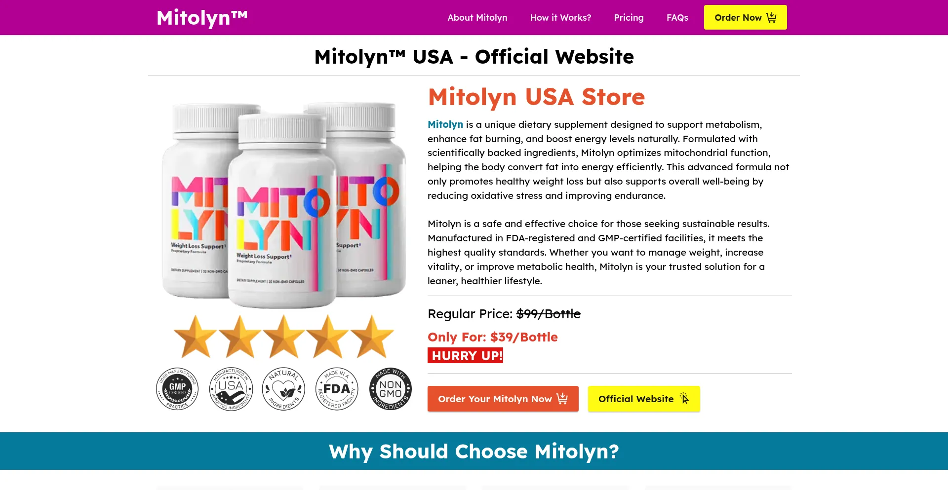 Website screenshot of Us-mitolynweb.us