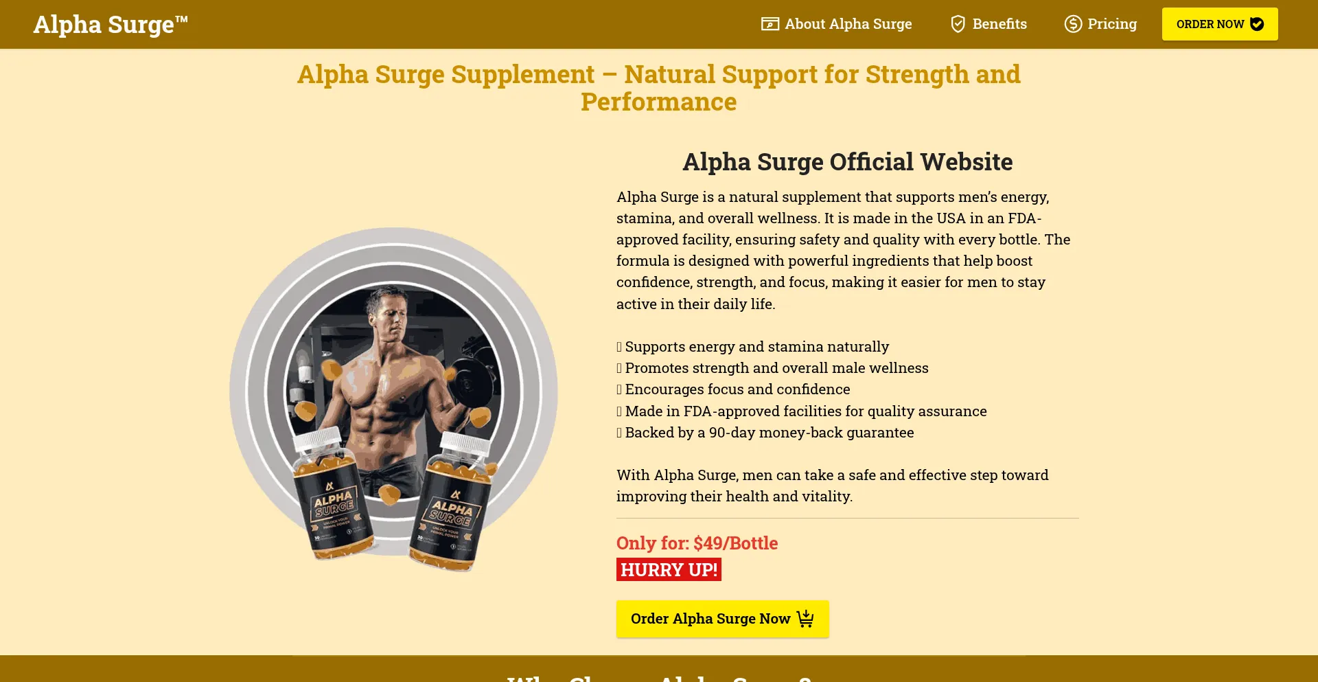 Usa-alphasurge.us 安全可靠吗？