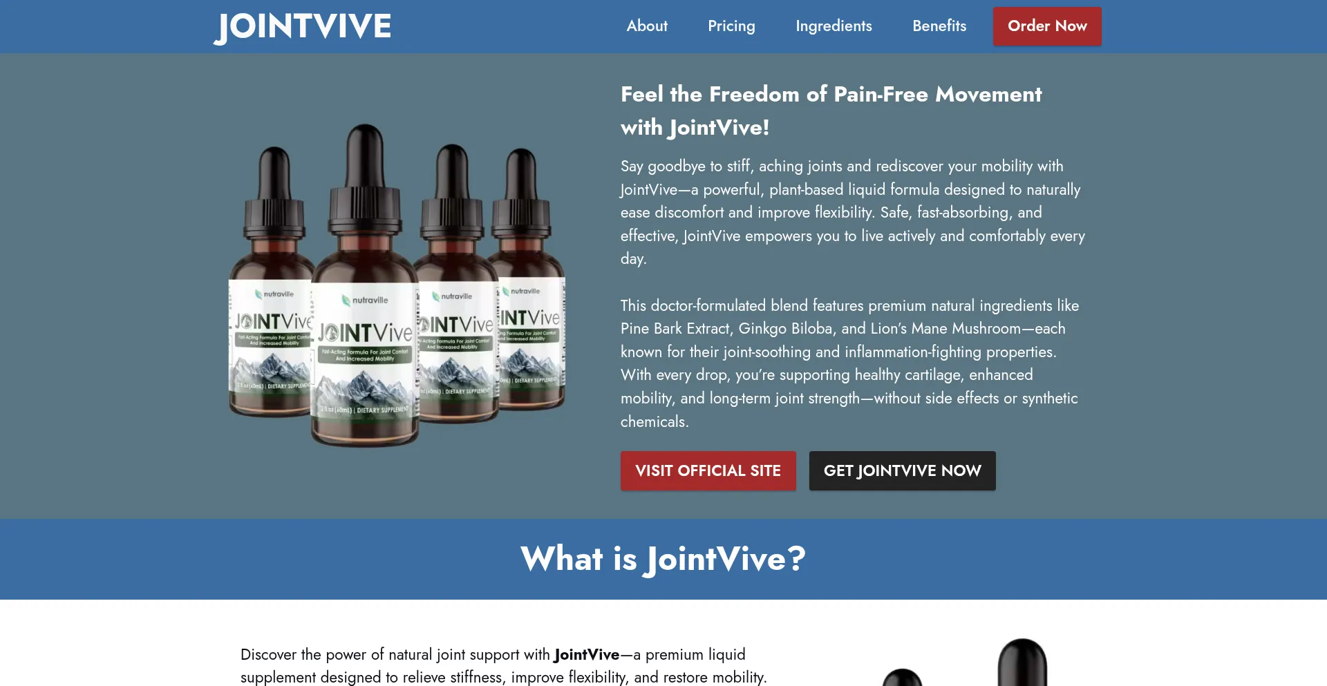 Usa-us-jointvive.com