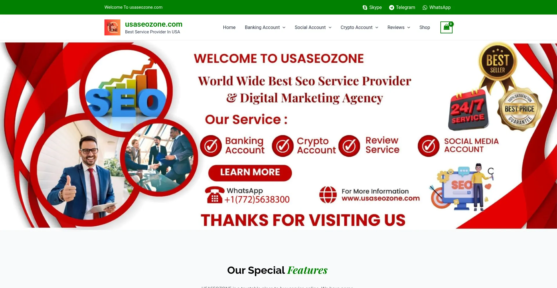 Website screenshot of Usaseozone.com