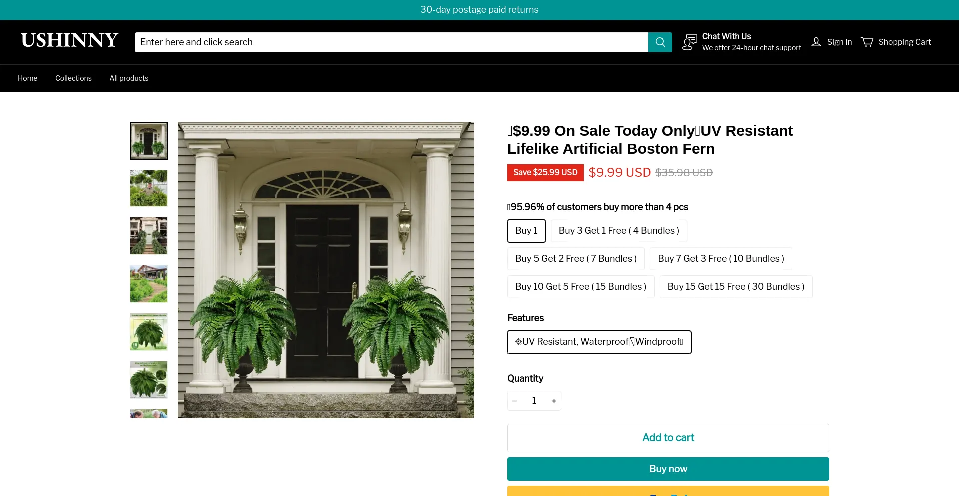 Website screenshot of Ushinny.com