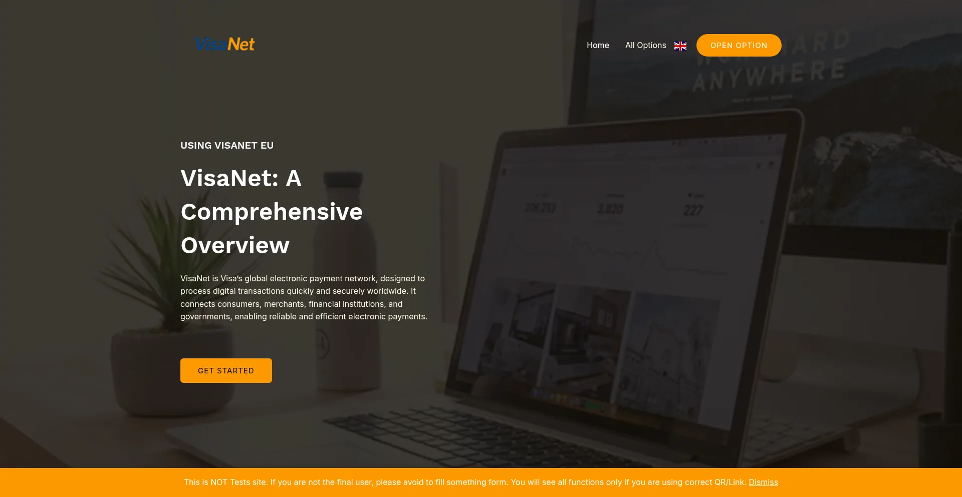 Website screenshot of Usingvisanet.eu