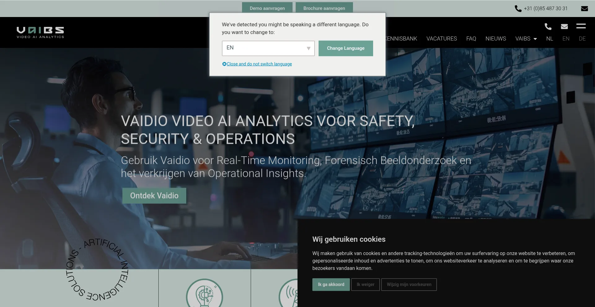 Website screenshot of Vaibs.com