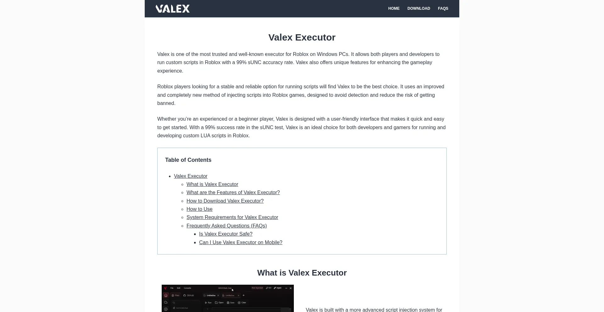 Website screenshot of Valexexecutor.com