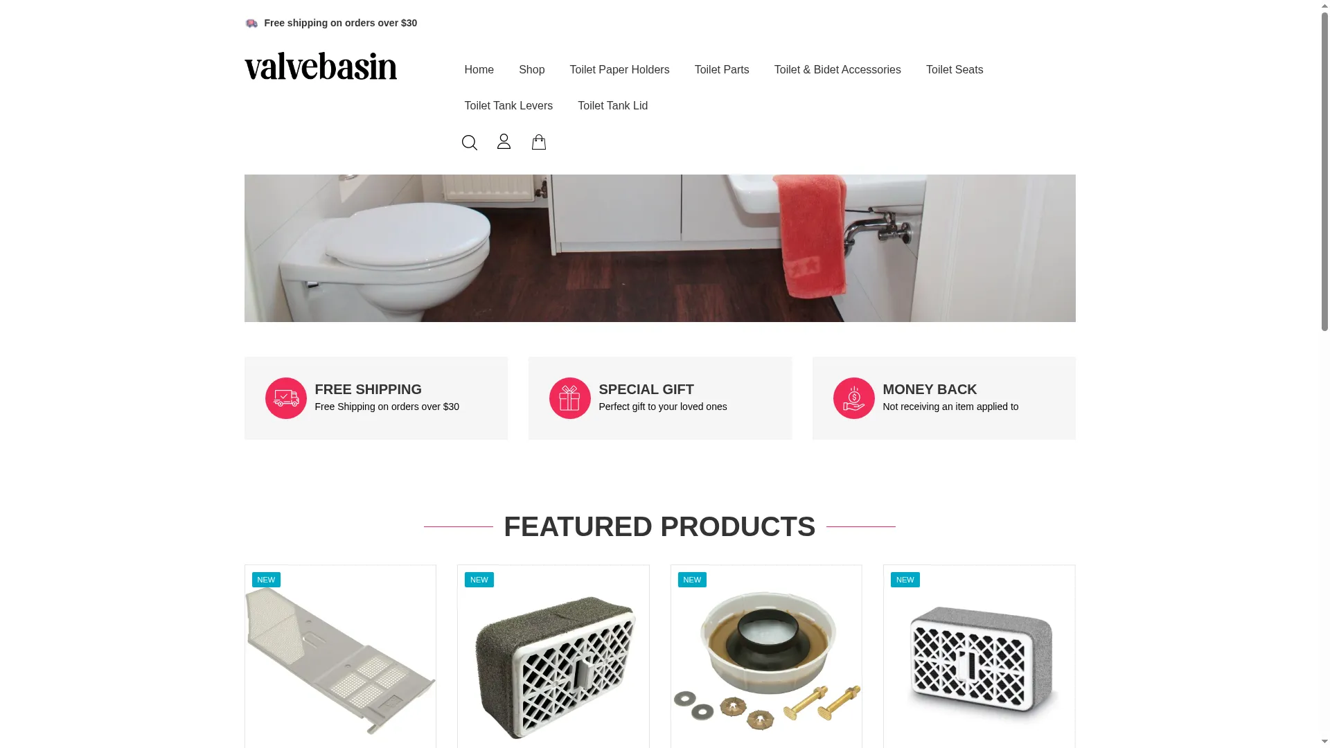 Valvebasin.com