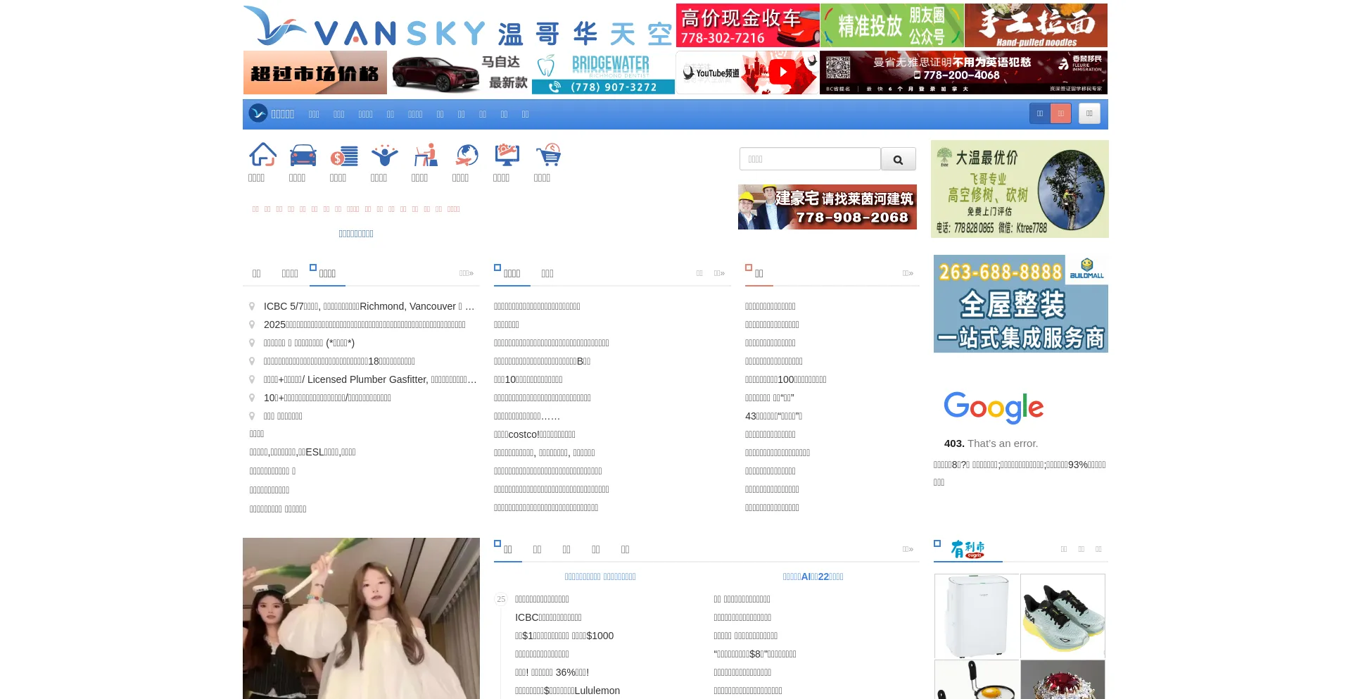 Website screenshot of Vansky.com