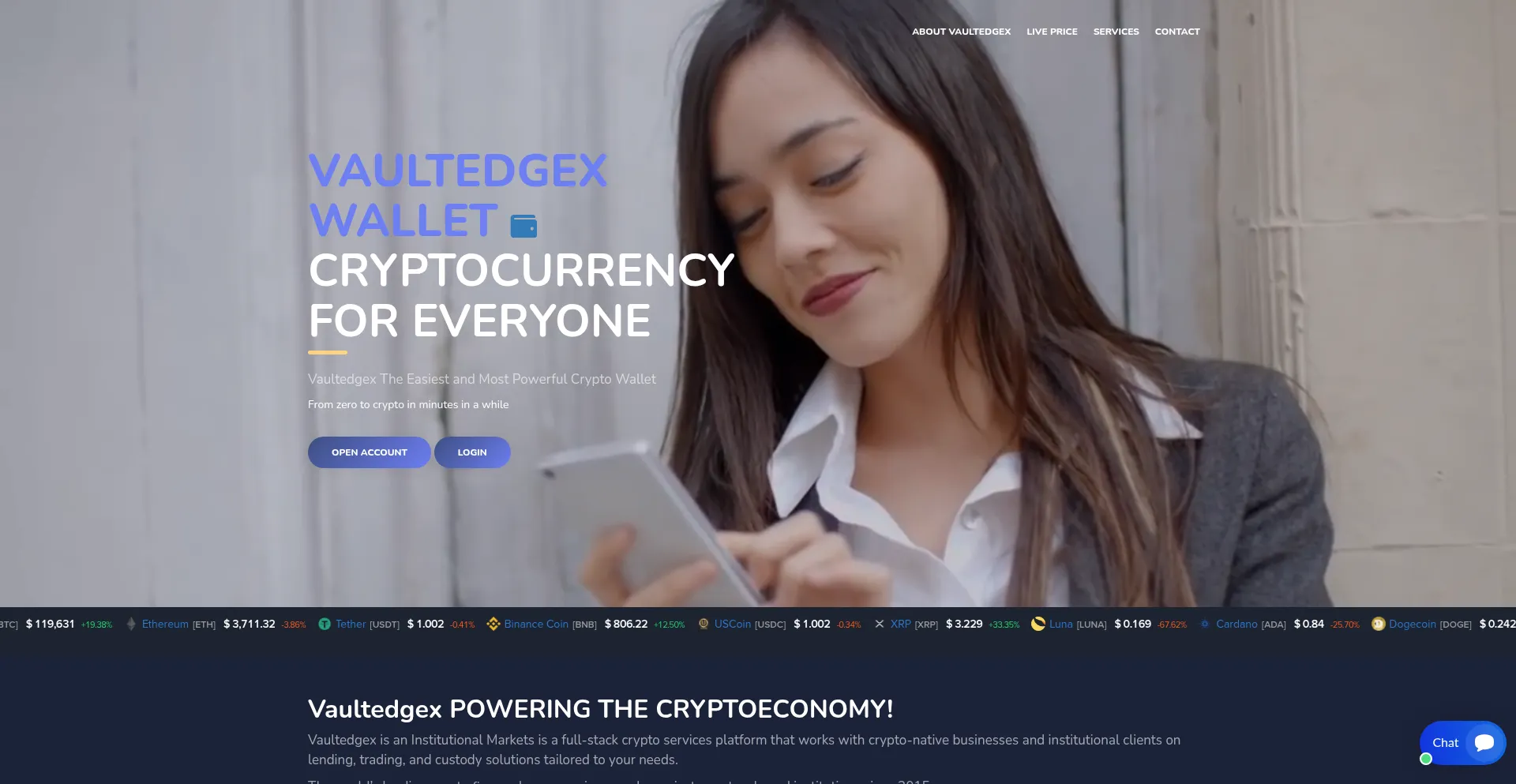 Website screenshot of Vault-edgex.com