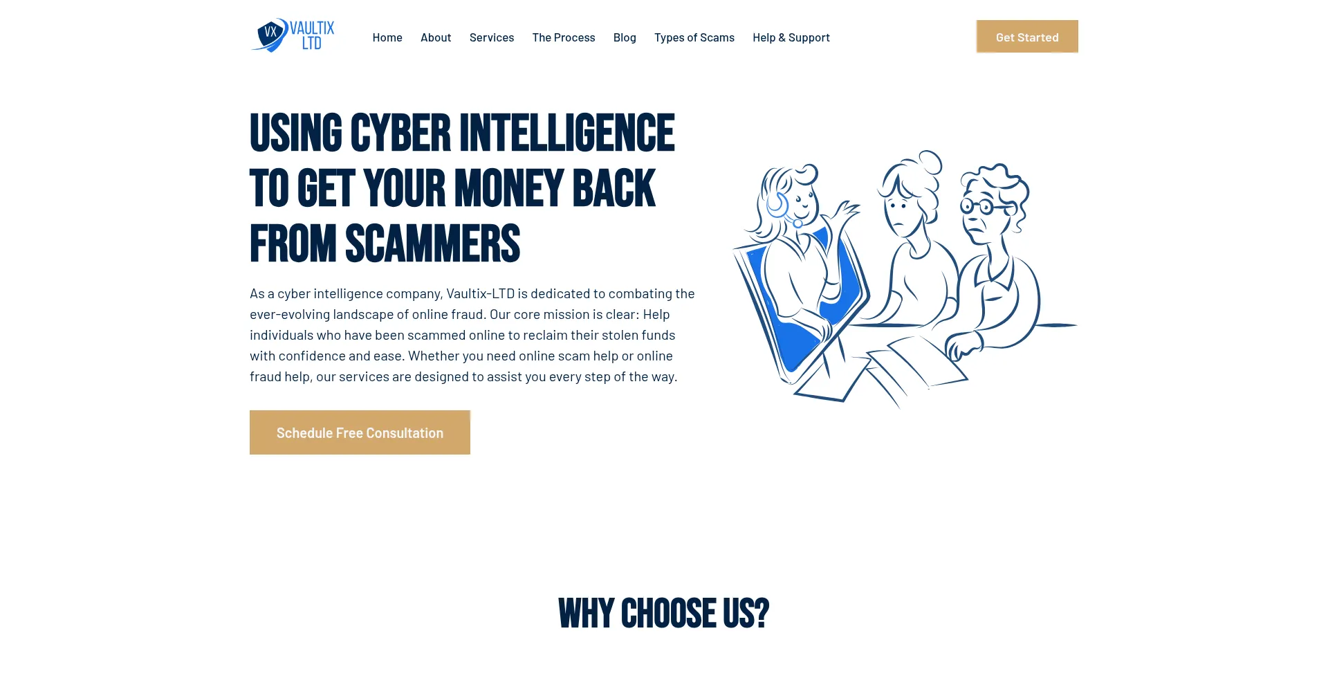 Website screenshot of Vaultixltd.com
