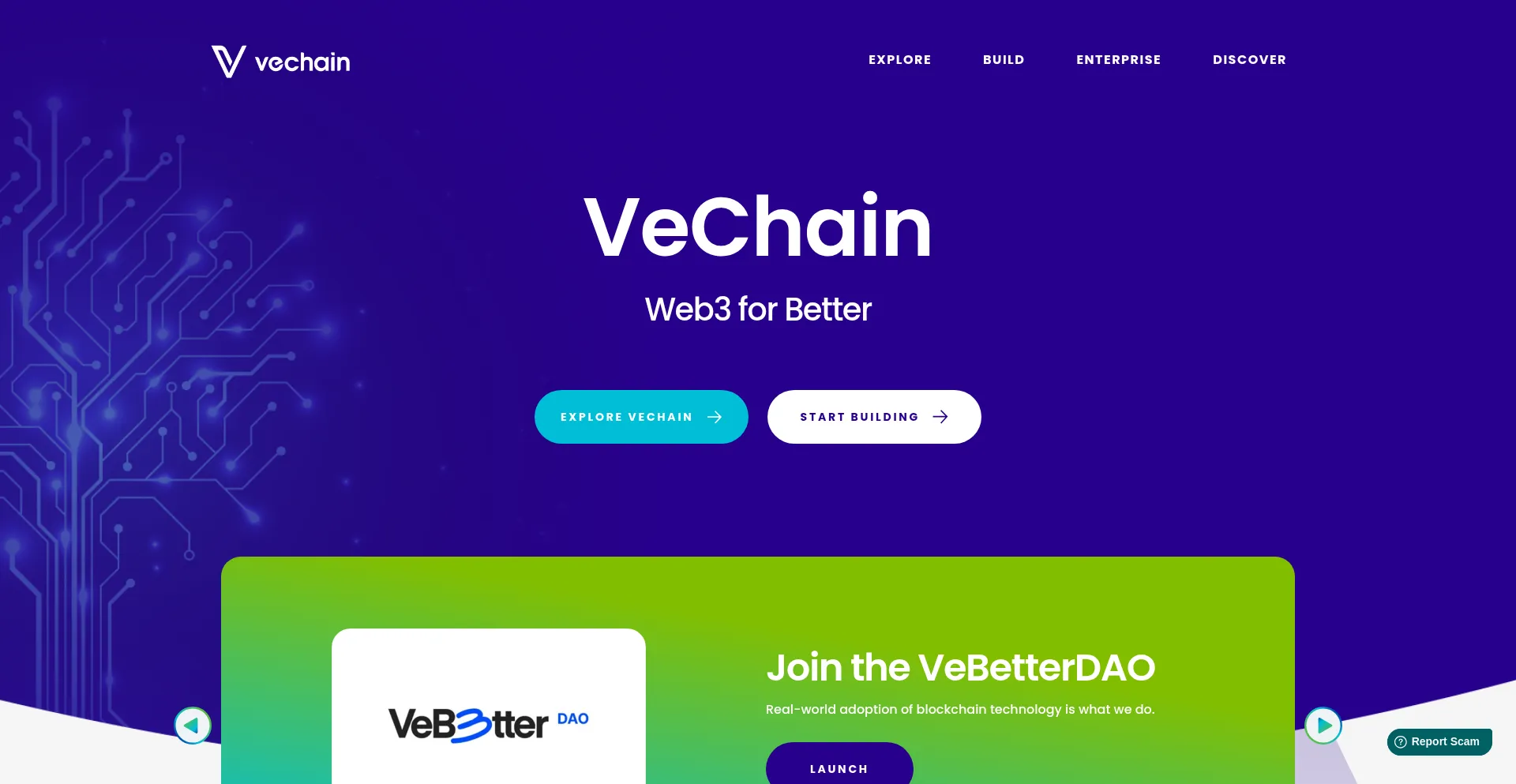 Vechain.org