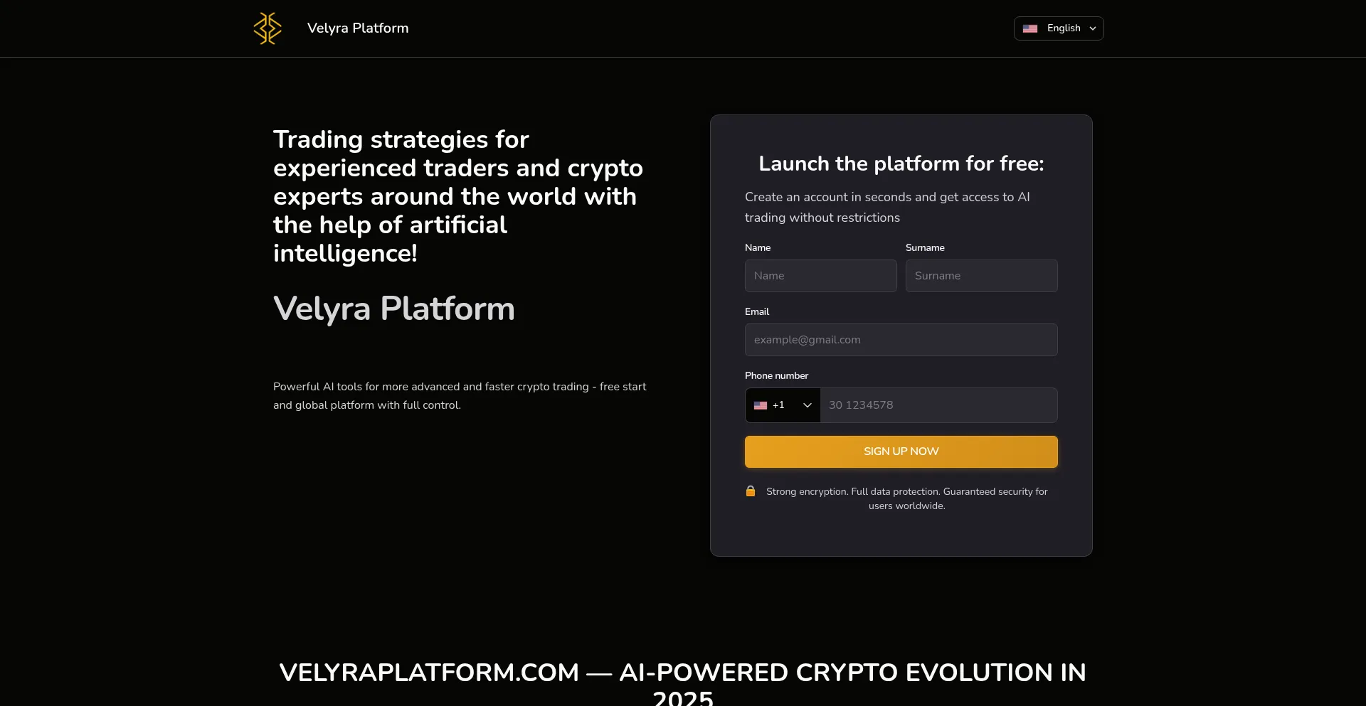Website screenshot of Velyraplatform.com