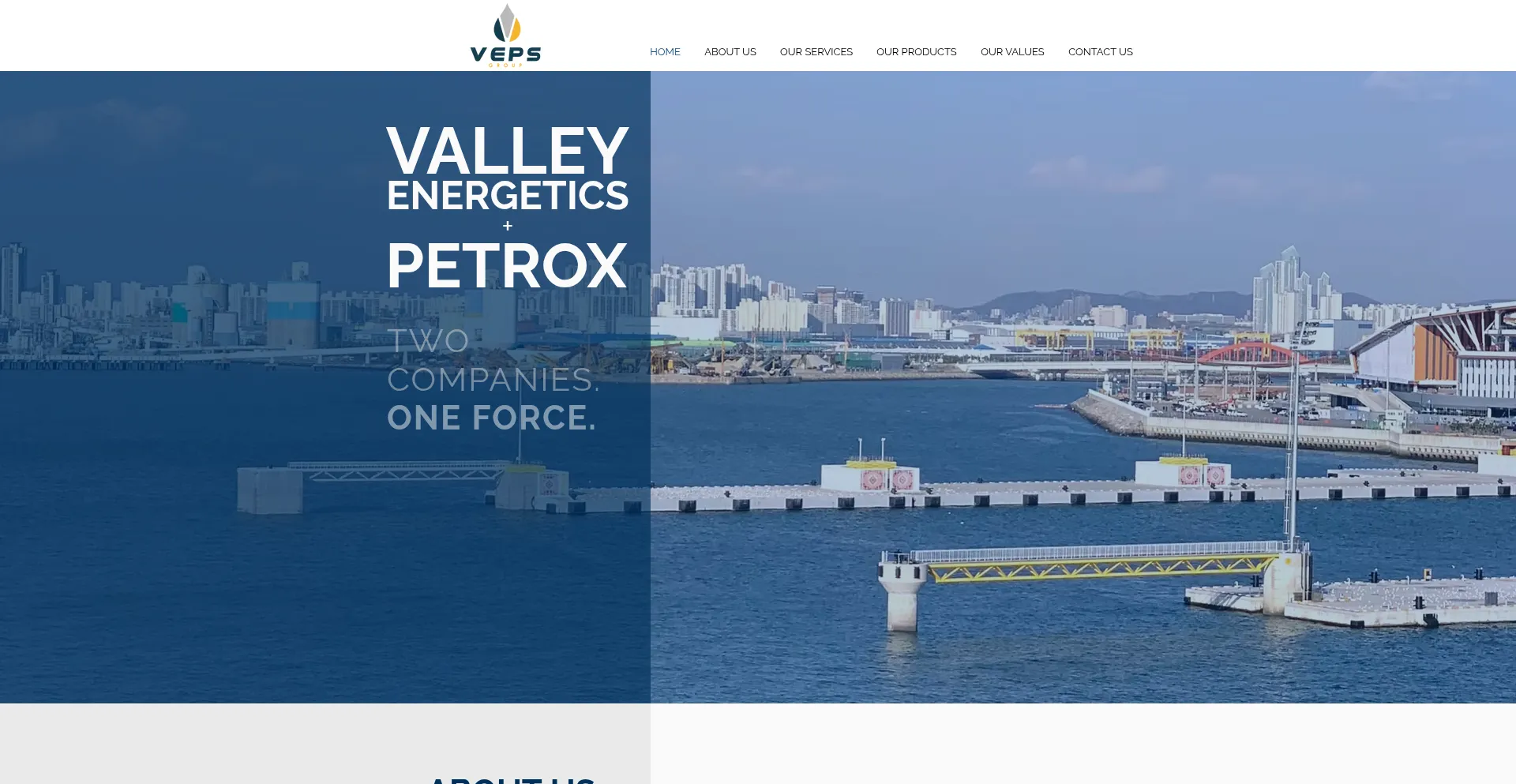 Website screenshot of Vepsgroup.com