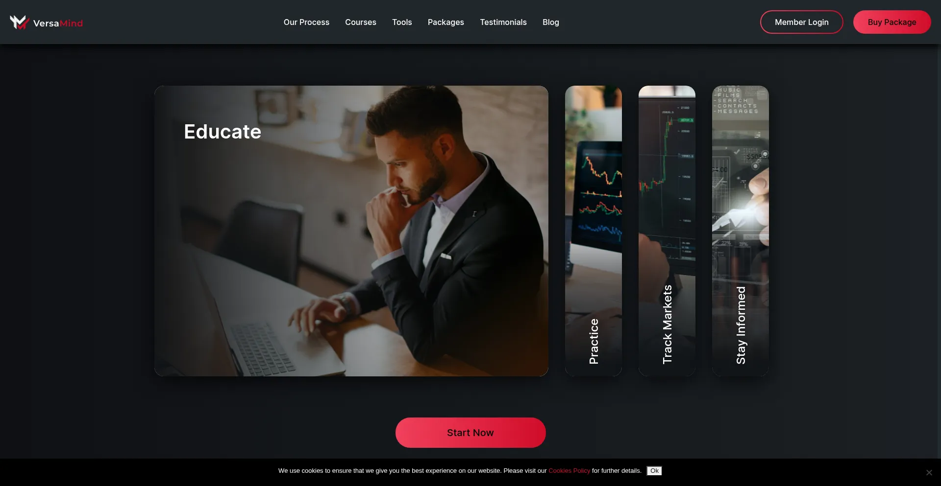 Website screenshot of Versamind.io