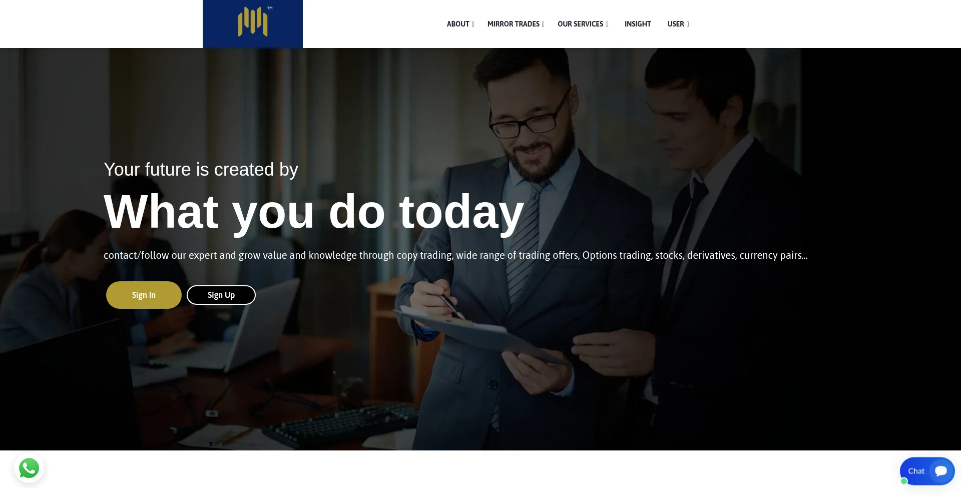 Website screenshot of Vertexmidas.com