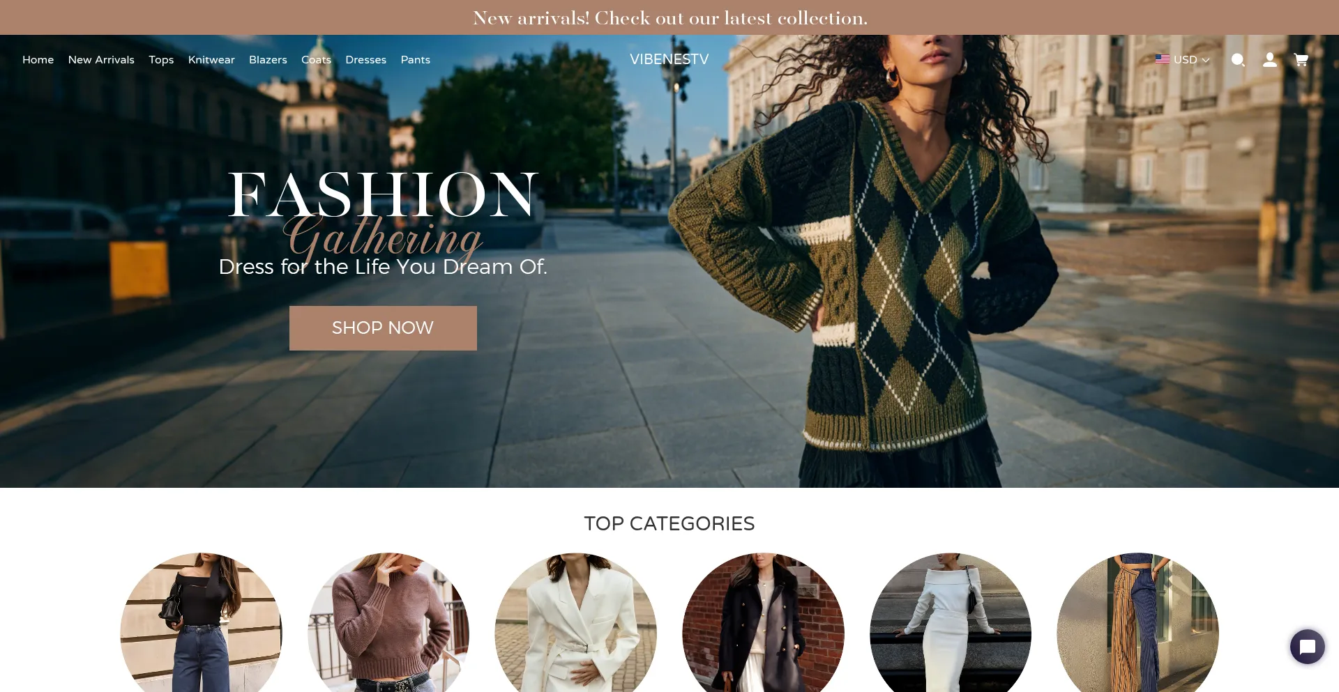 Website screenshot of Vibenestv.com
