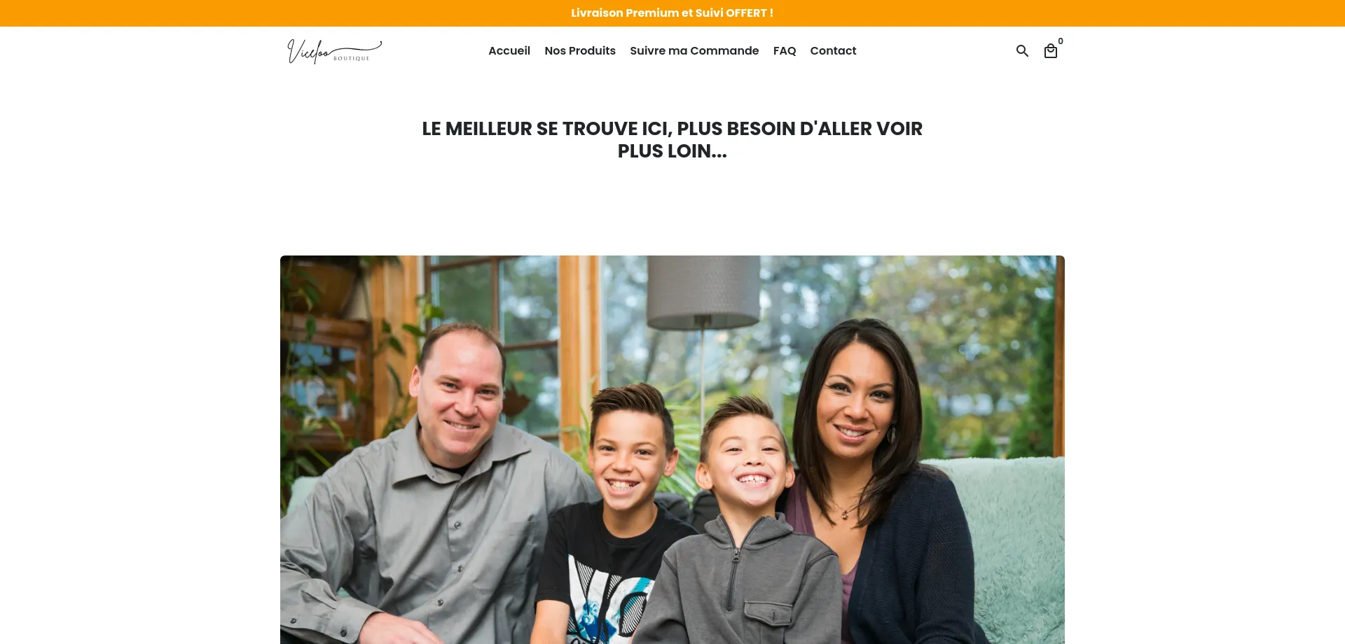 Website screenshot of Viceloo.com
