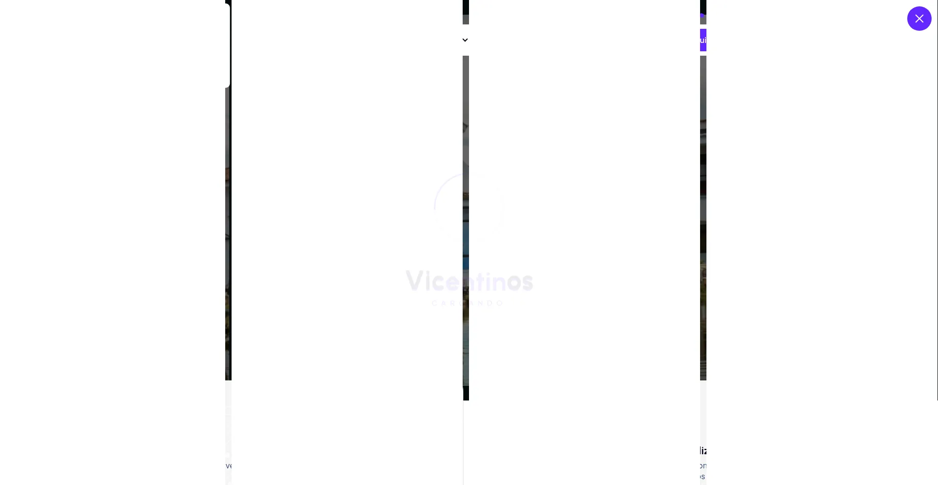 Vicentinos.co