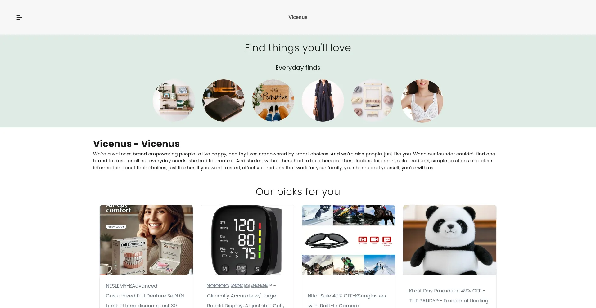 Website screenshot of Vicenus.com
