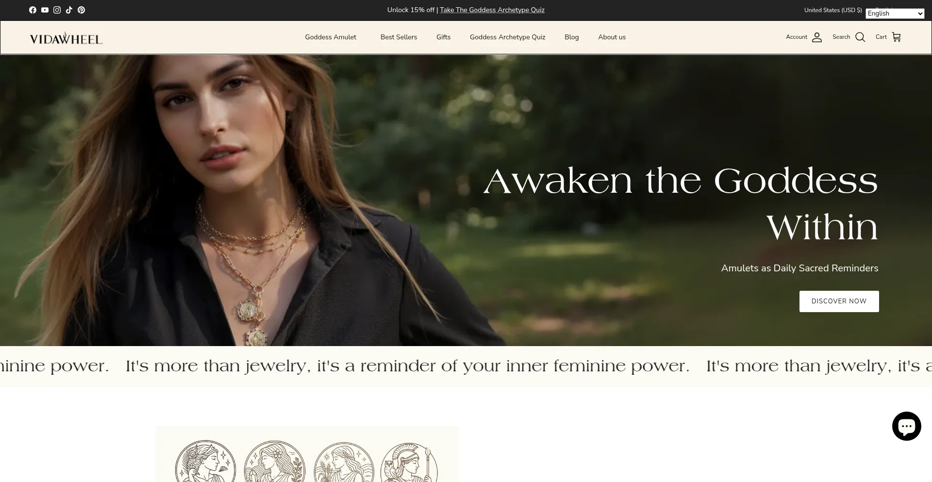 Website screenshot of Vidawheel.com