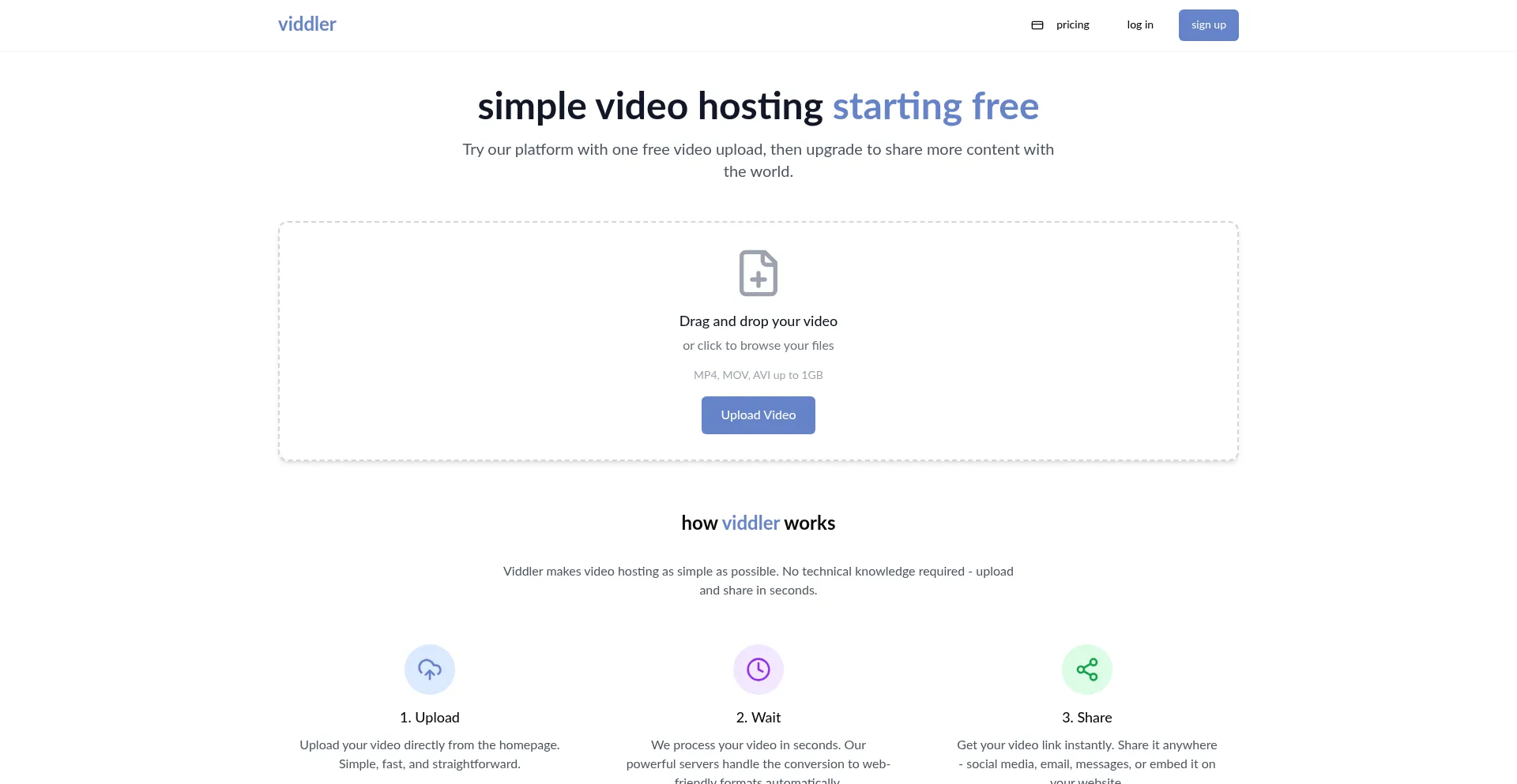 Website screenshot of Viddler.com