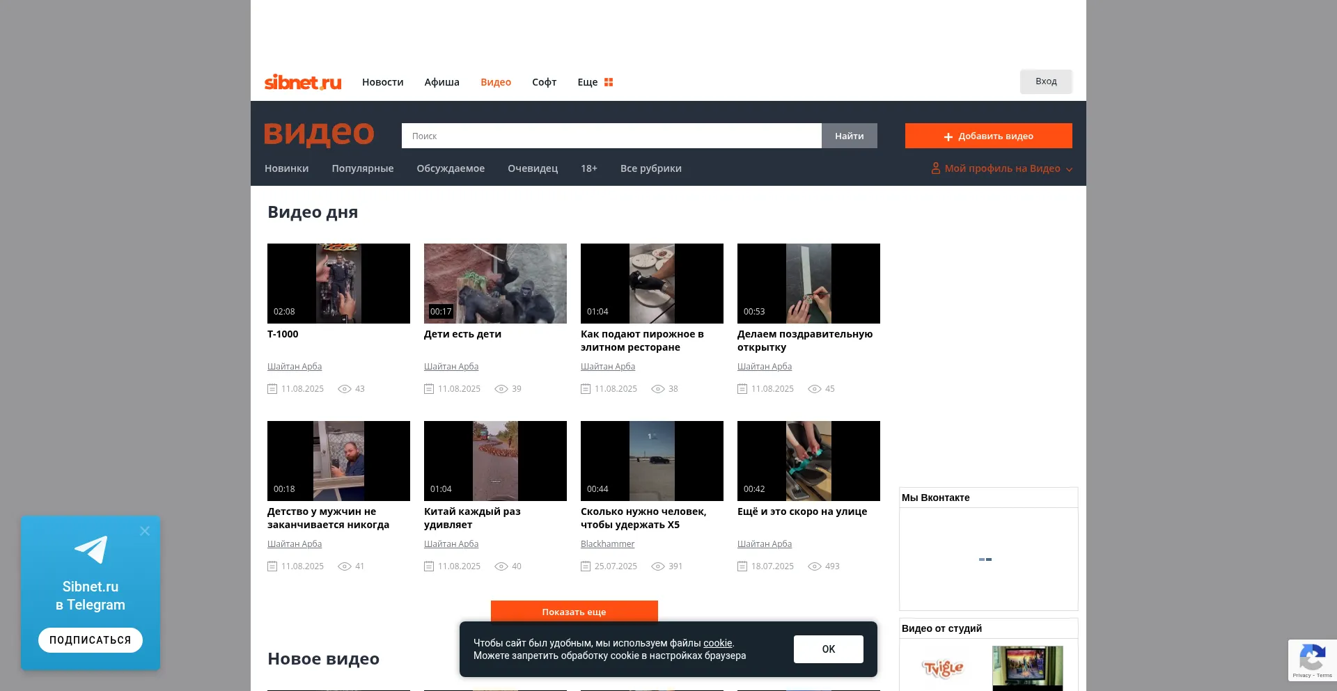Website screenshot of Video.sibnet.ru