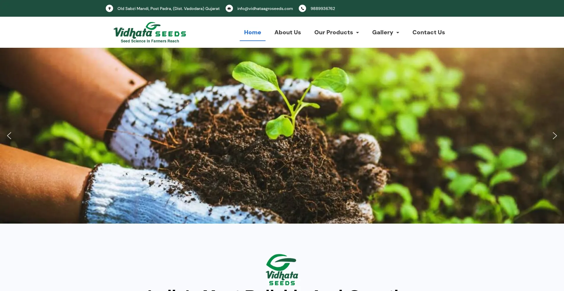 Vidhataagroseeds.com
