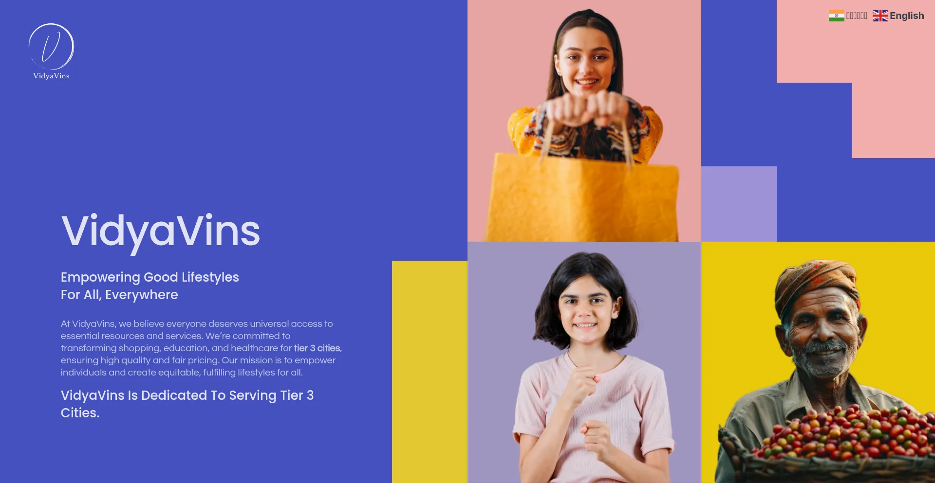 Website screenshot of Vidyavins.com