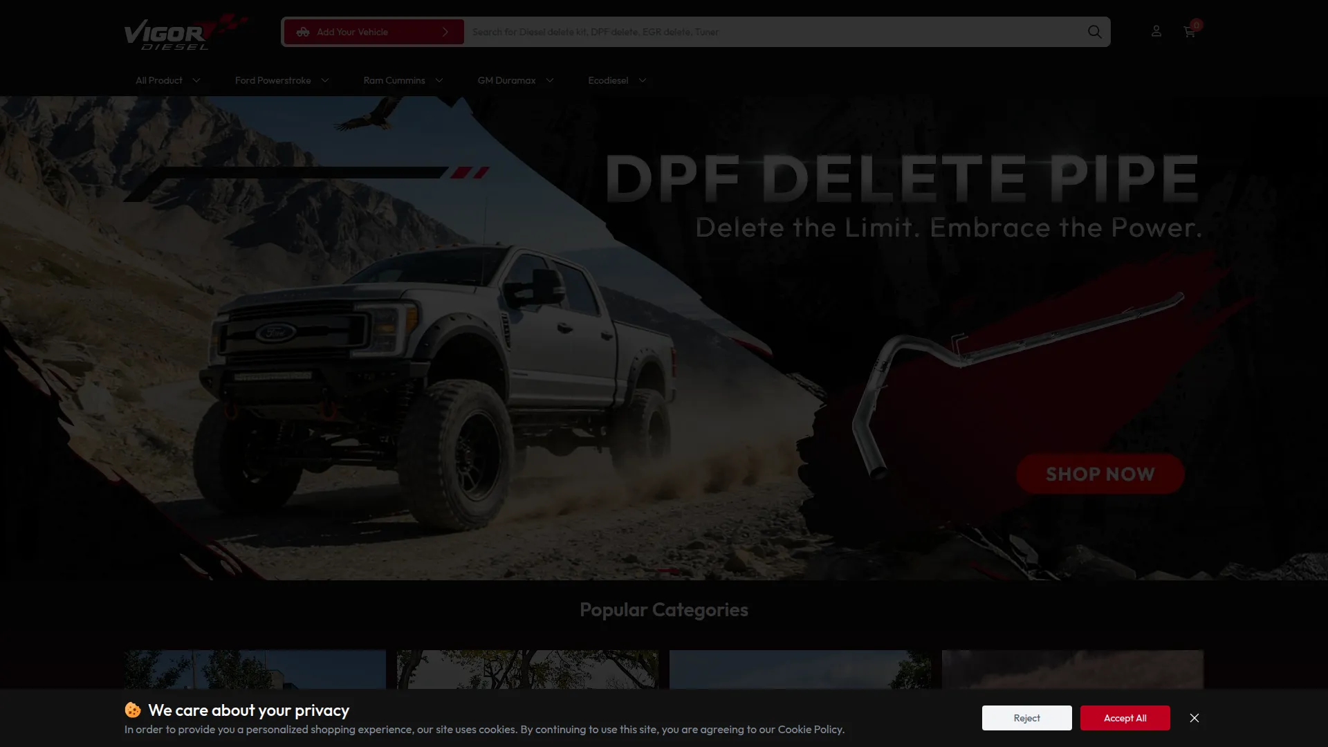 Vigordiesel.com