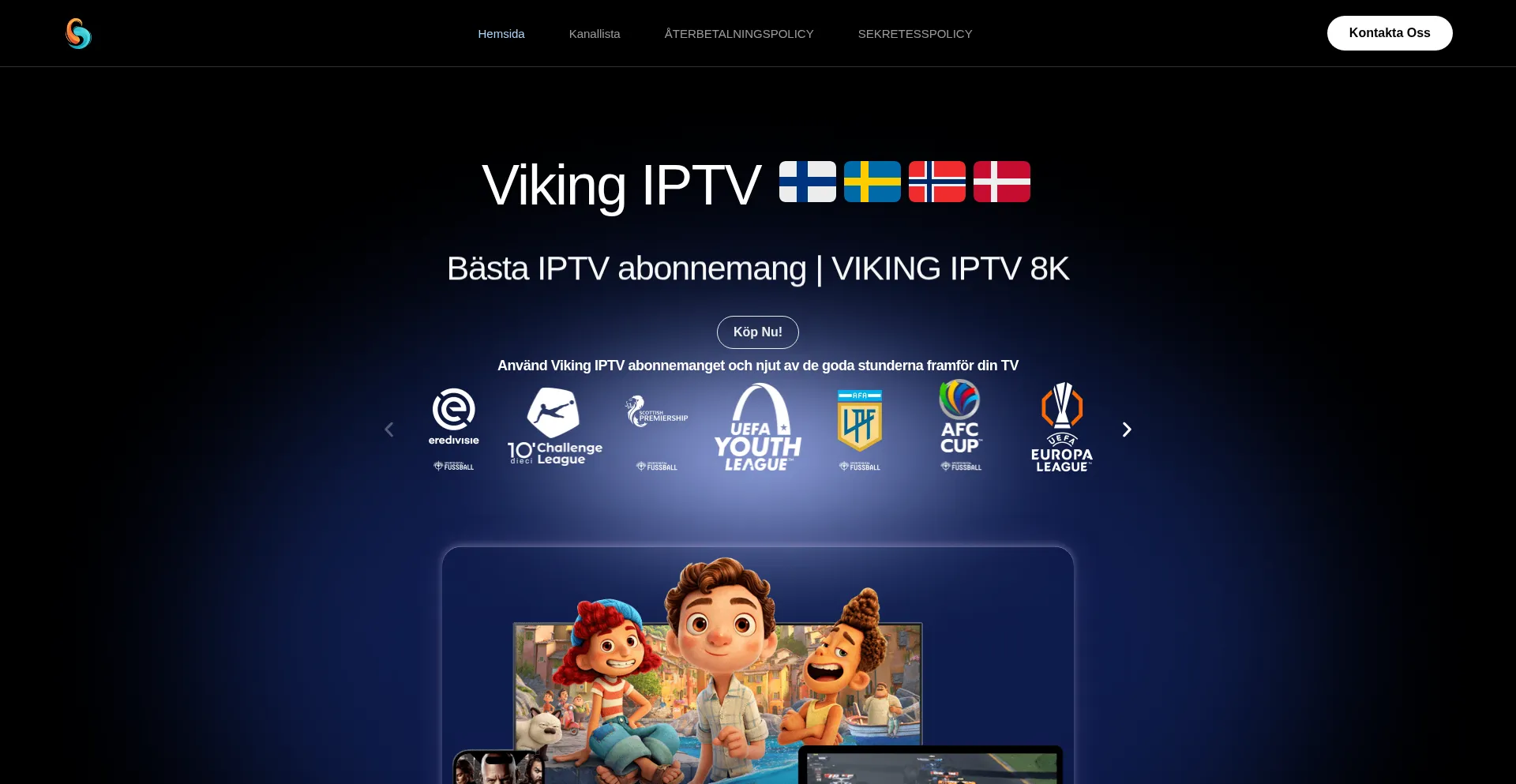 Website screenshot of Vikingiptv8k.se