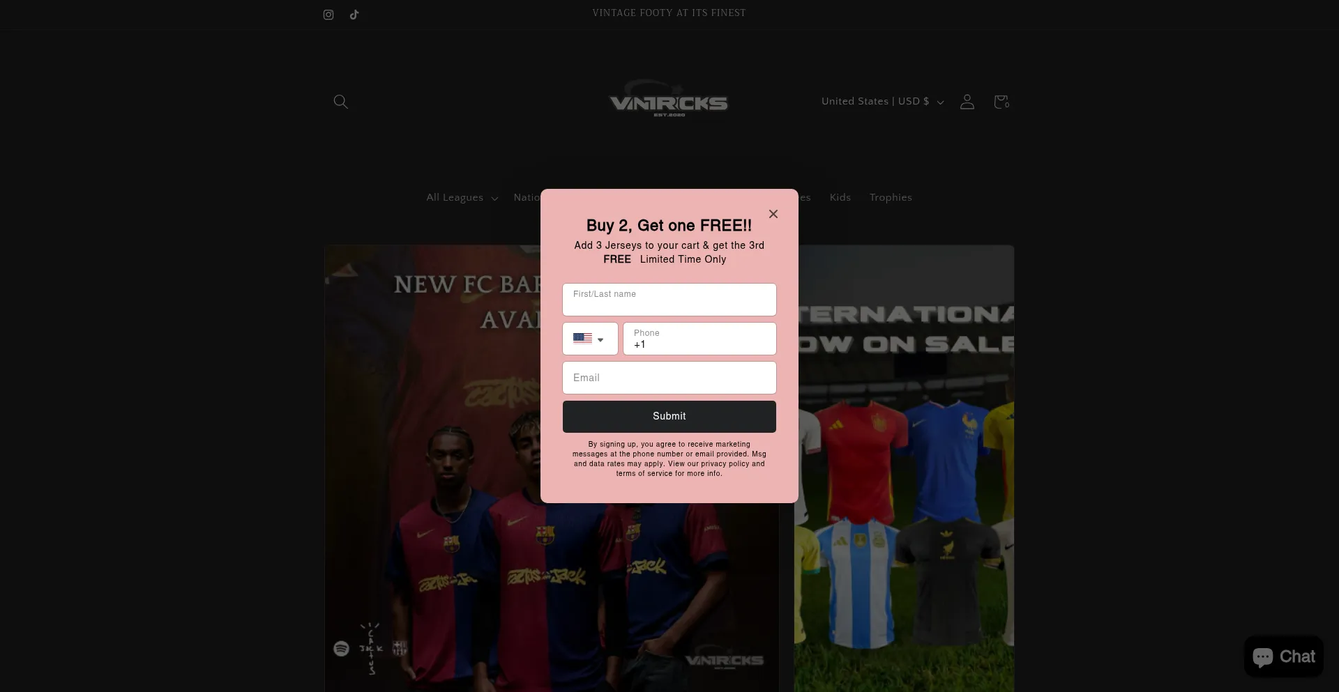 Website screenshot of Vintricks.com
