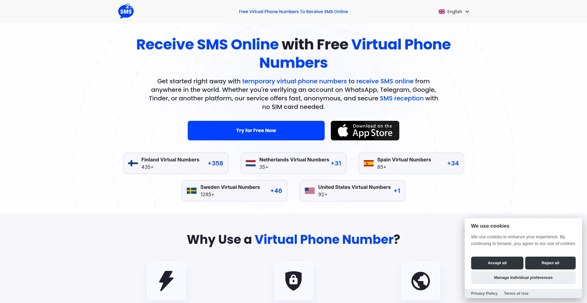 Website screenshot of Virtual-number.net