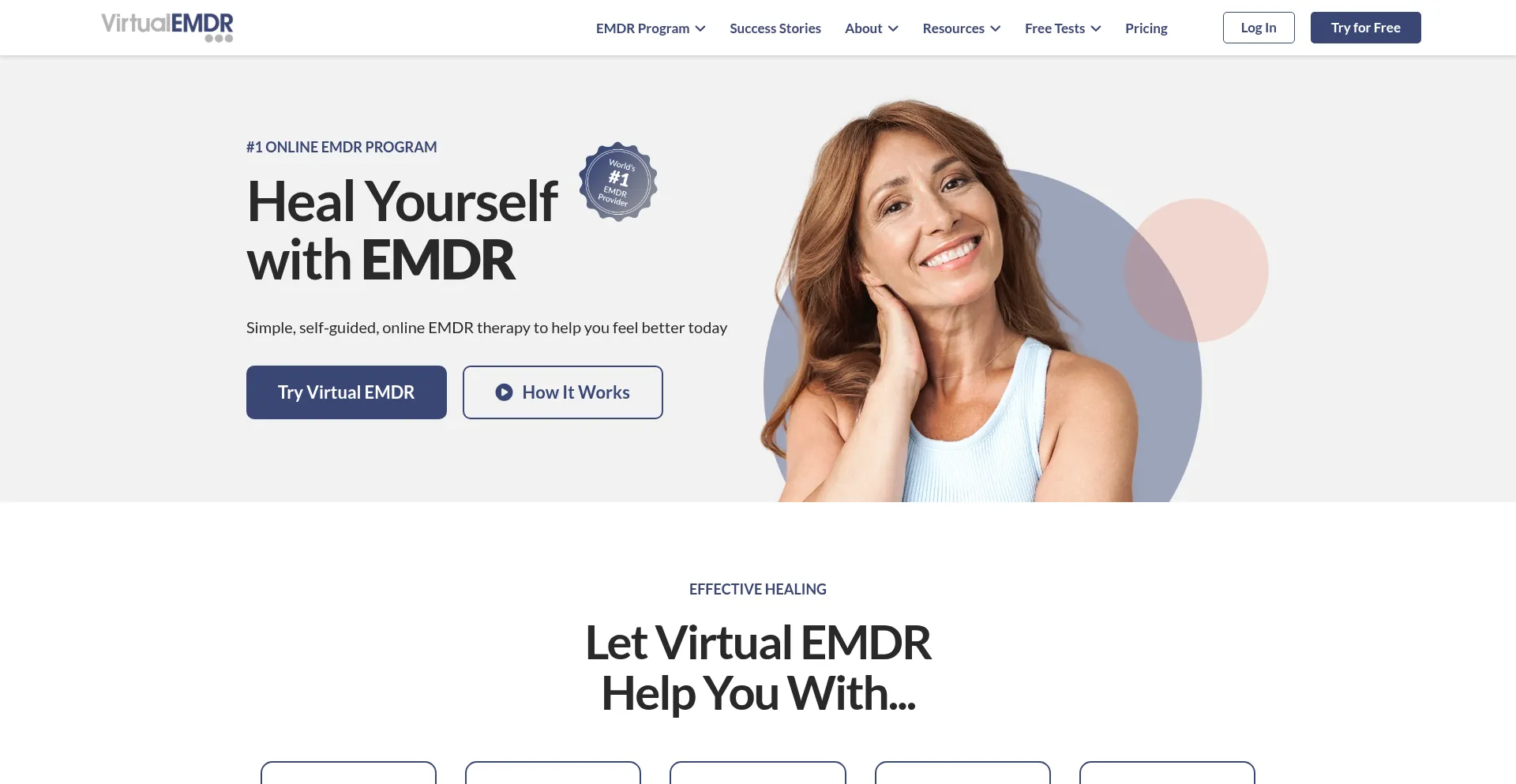 Website screenshot of Virtualemdr.com