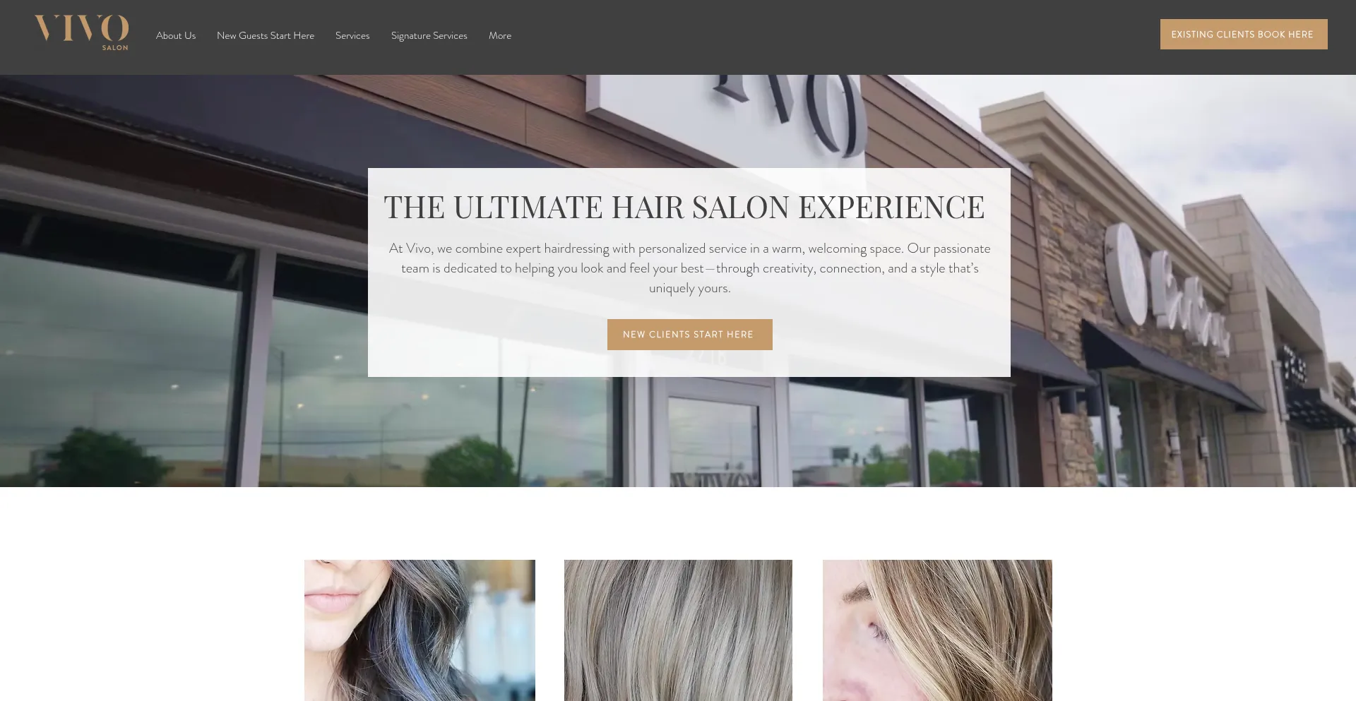 Vivosalon.com