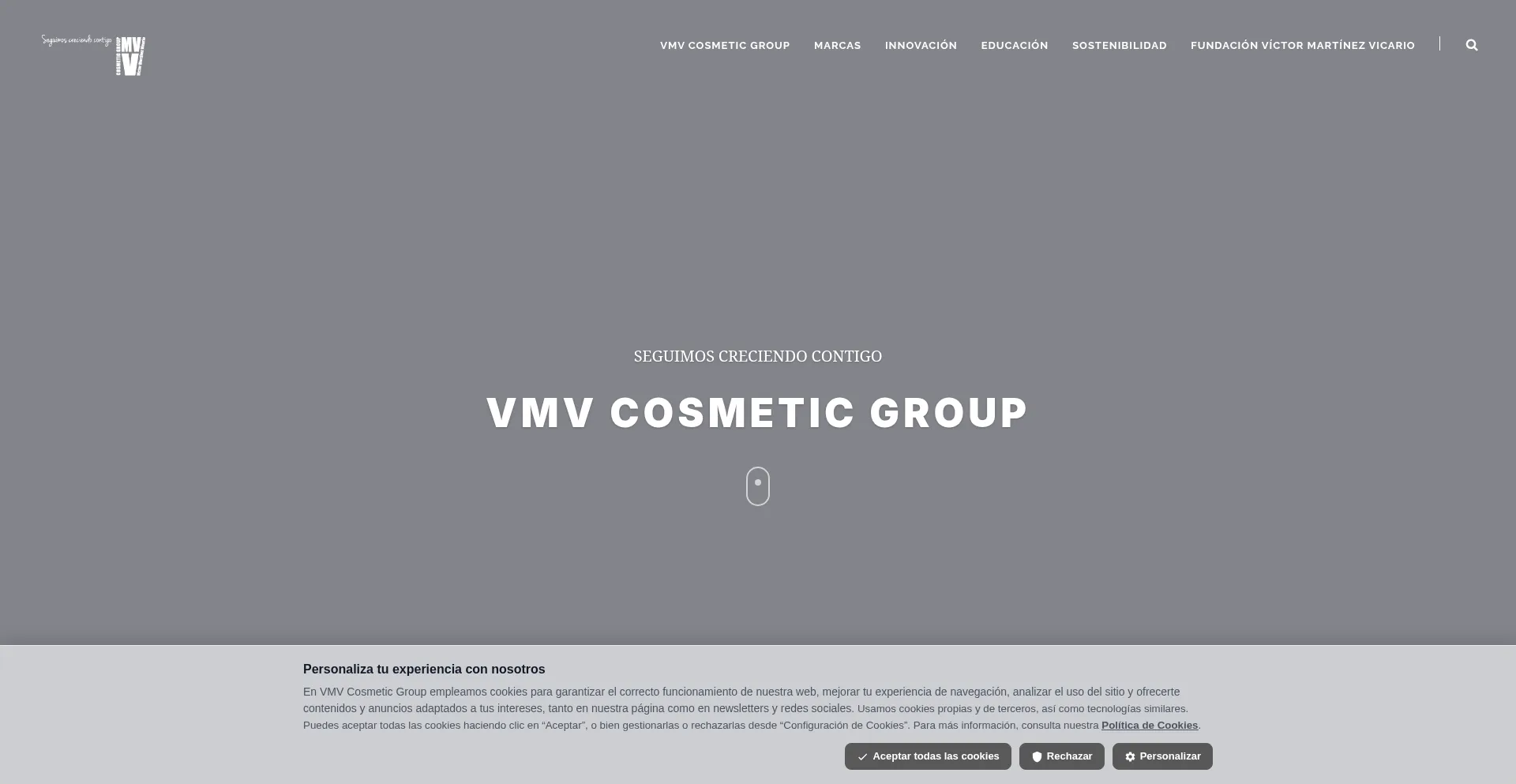 Vmvcosmeticgroup.com