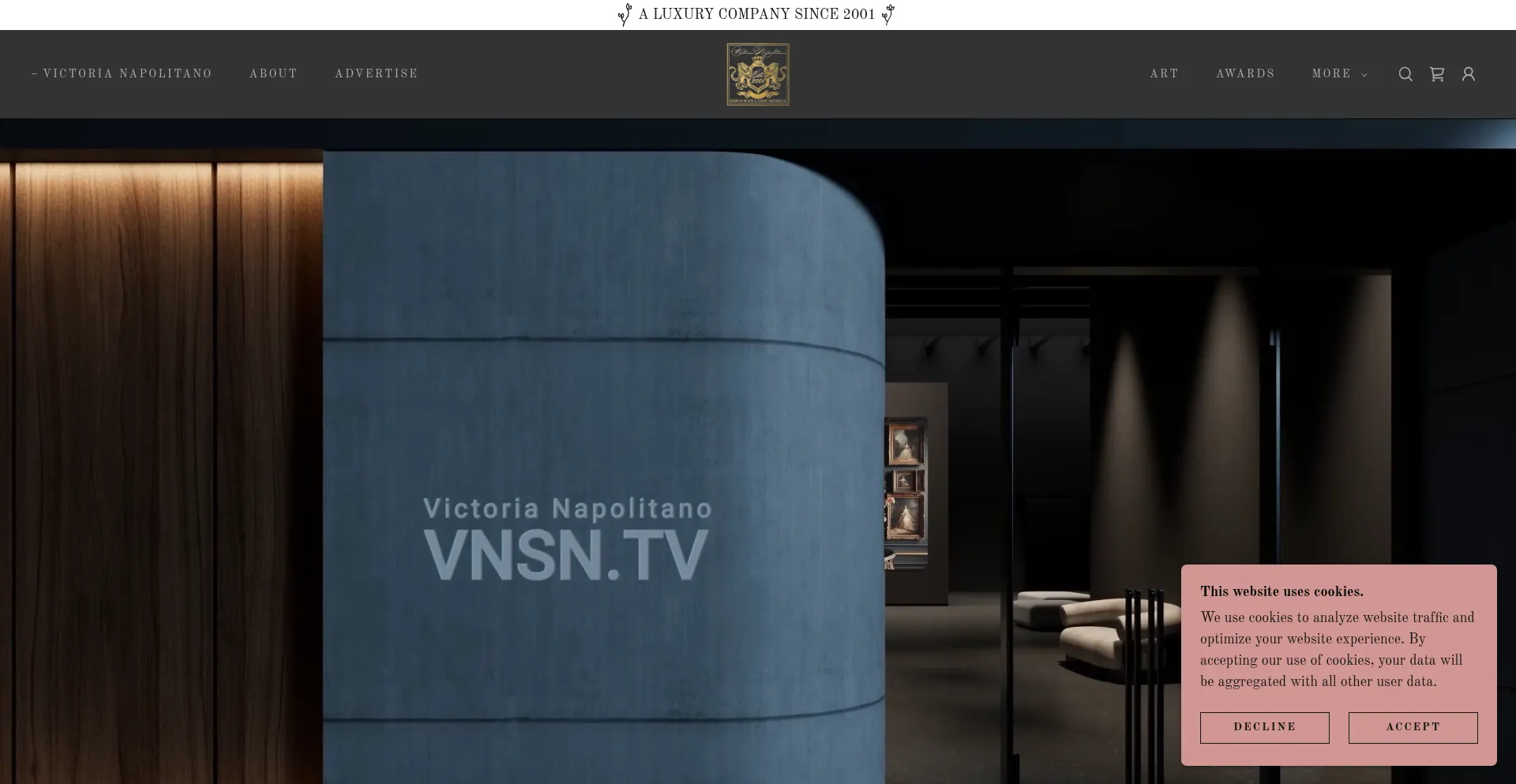 Website screenshot of Vnsn.tv